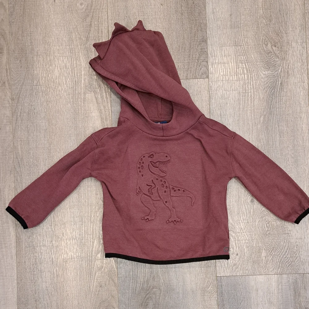 GAPFIT Toddler T-Rex Hoodie - Picture 1 of 4
